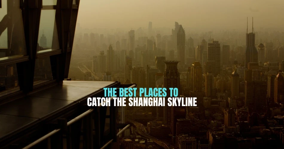 The Best Places to Catch the Shanghai Skyline