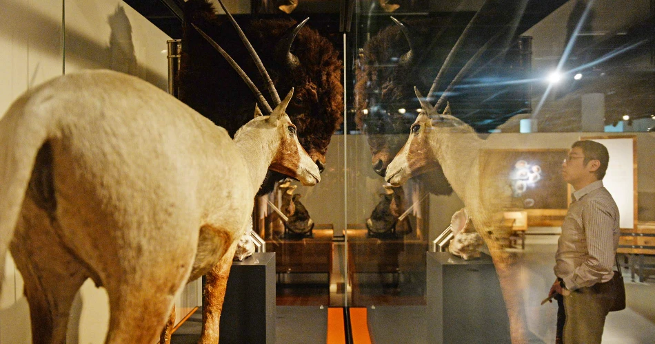 Free Attractions in Shanghai That Are Worth Your Time